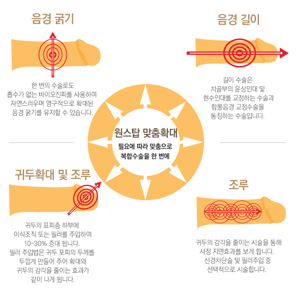 ����ž ����Ȯ��