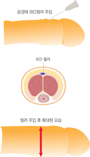 ������ �ʷ�����Ȯ��