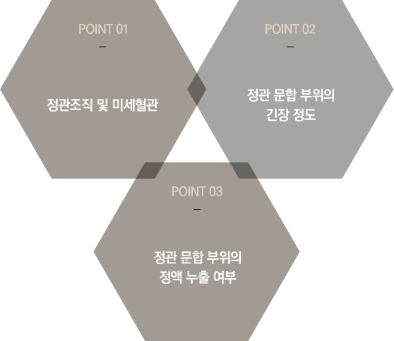 ���������� POINT