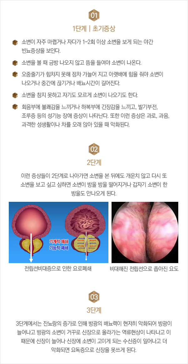 ������������� ����