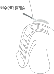 �����δ�������