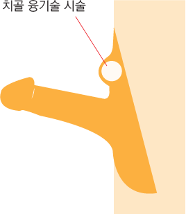 �Ը����� ���� ����