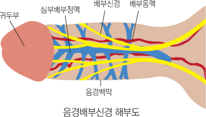 �����νŰ� �غε�