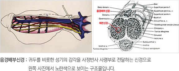 �����νŰ�