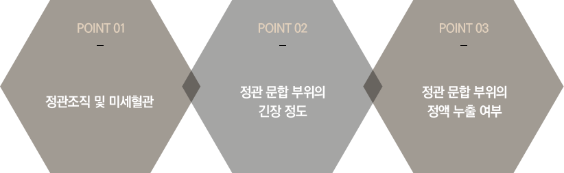 ���������� POINT