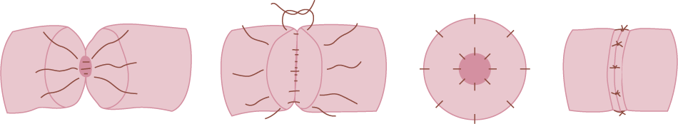 ���� �������� ���