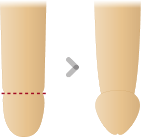 �������������