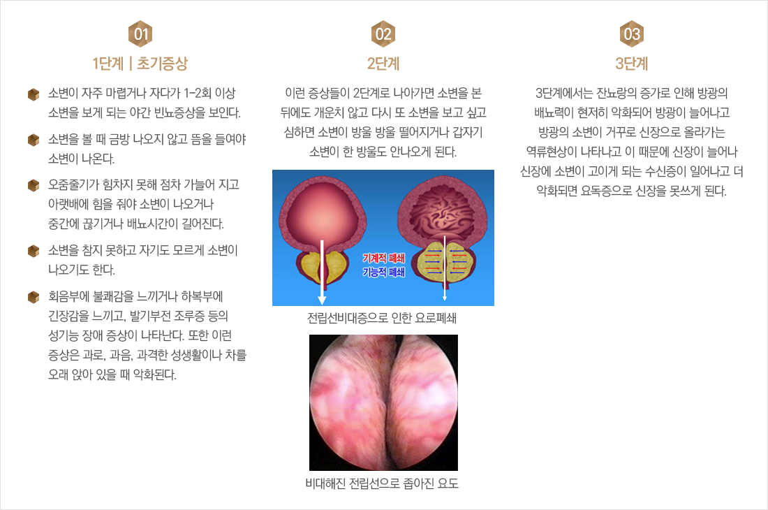 ������������� ����